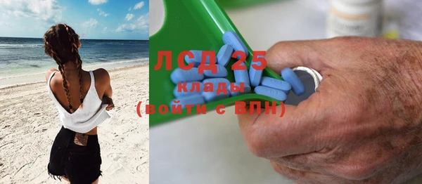 гидра Богданович