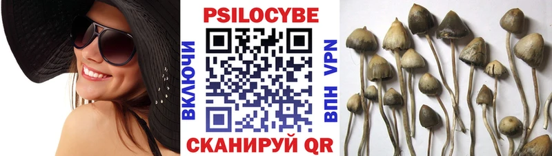 Псилоцибиновые грибы Magic Shrooms  Велиж 